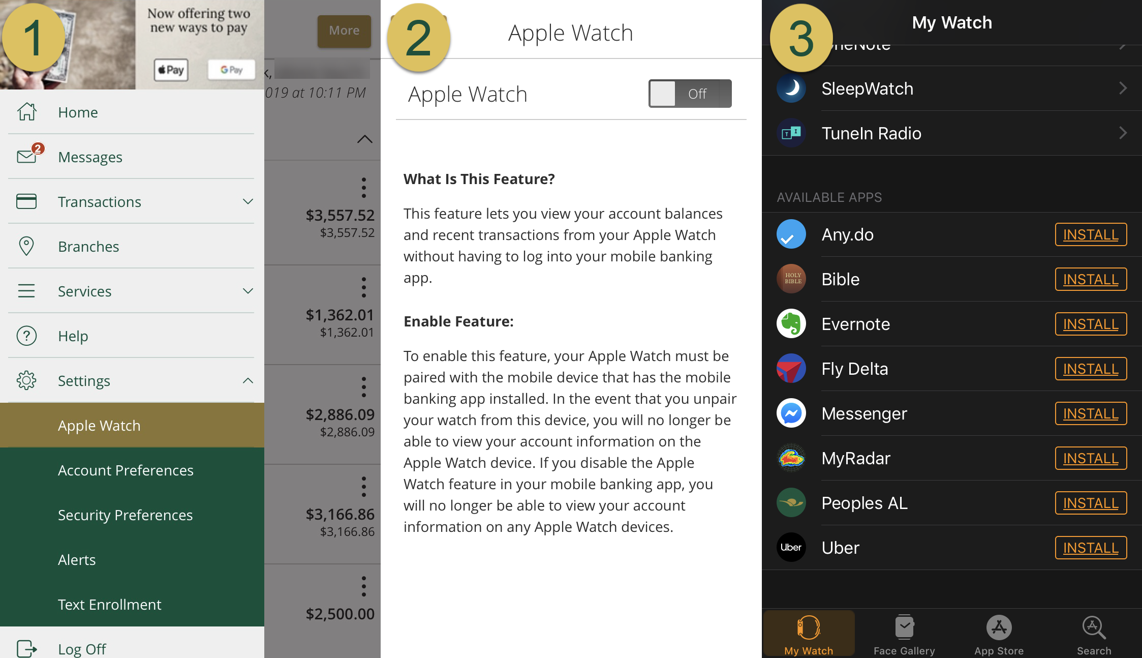 Use Apple Watch screenshots of setup