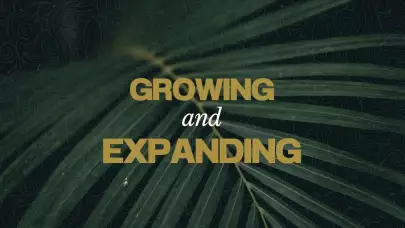 Growing Blog
