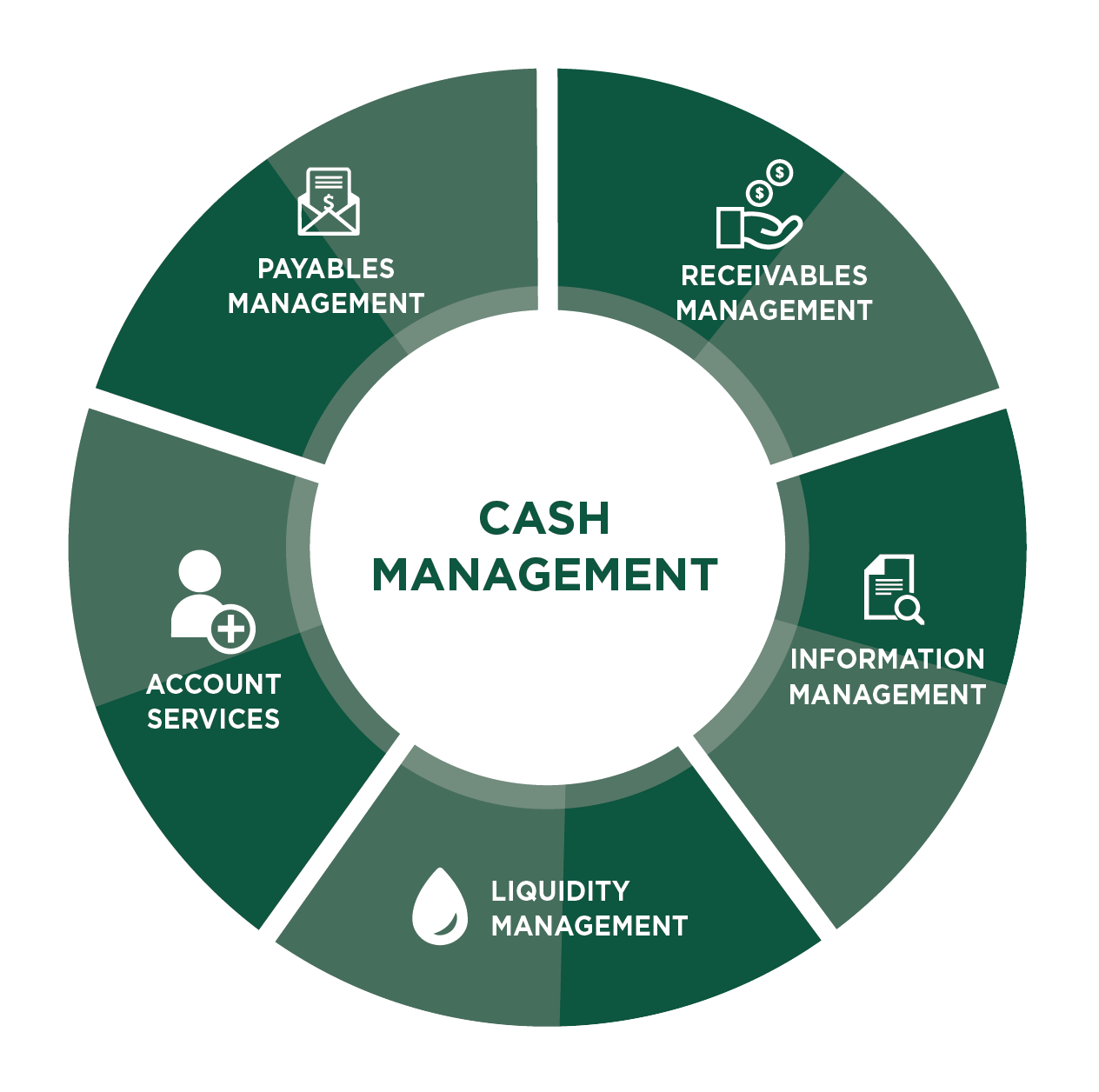 Cash Management - cash flow cycle